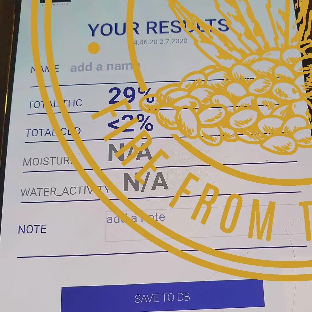 Indica Dominant Hybrid Strain “Tangie Dream” - Image 5